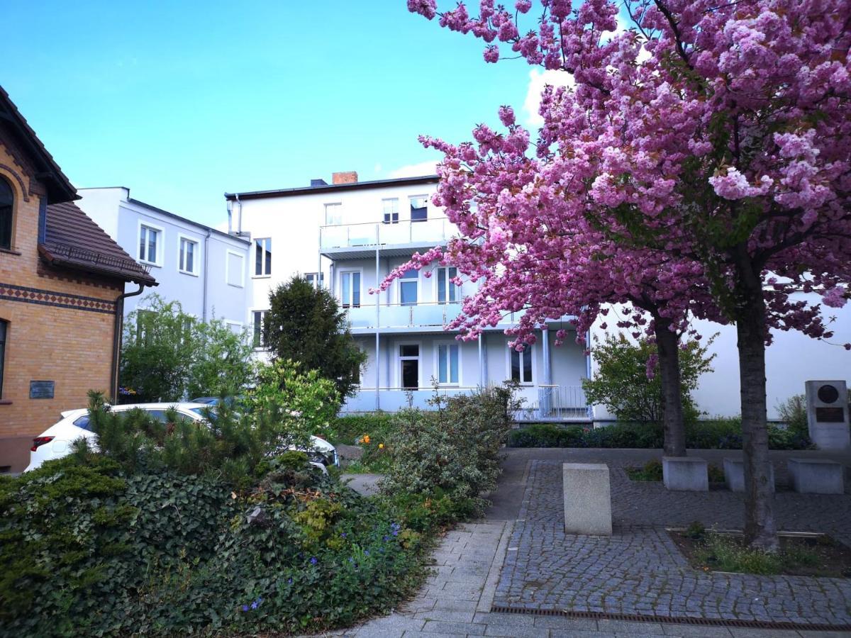 Pb Ferienwohnungen - Fewo 3 - Stilvoll Eingerichtetes Studio Im Herzen Senftenbergs Exteriér fotografie